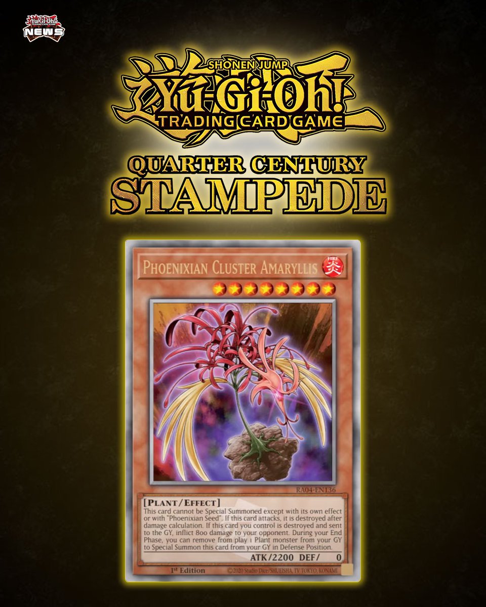 YGO News tweet media