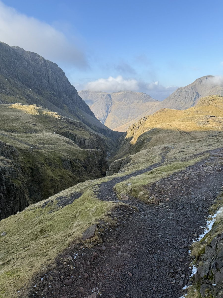 Clive G. Brown tweet media