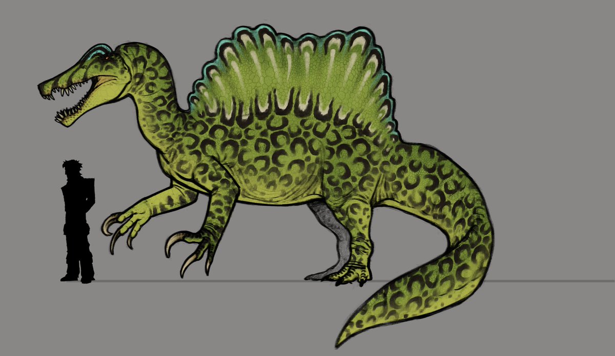 🪰 Toro 🦟 tweet media