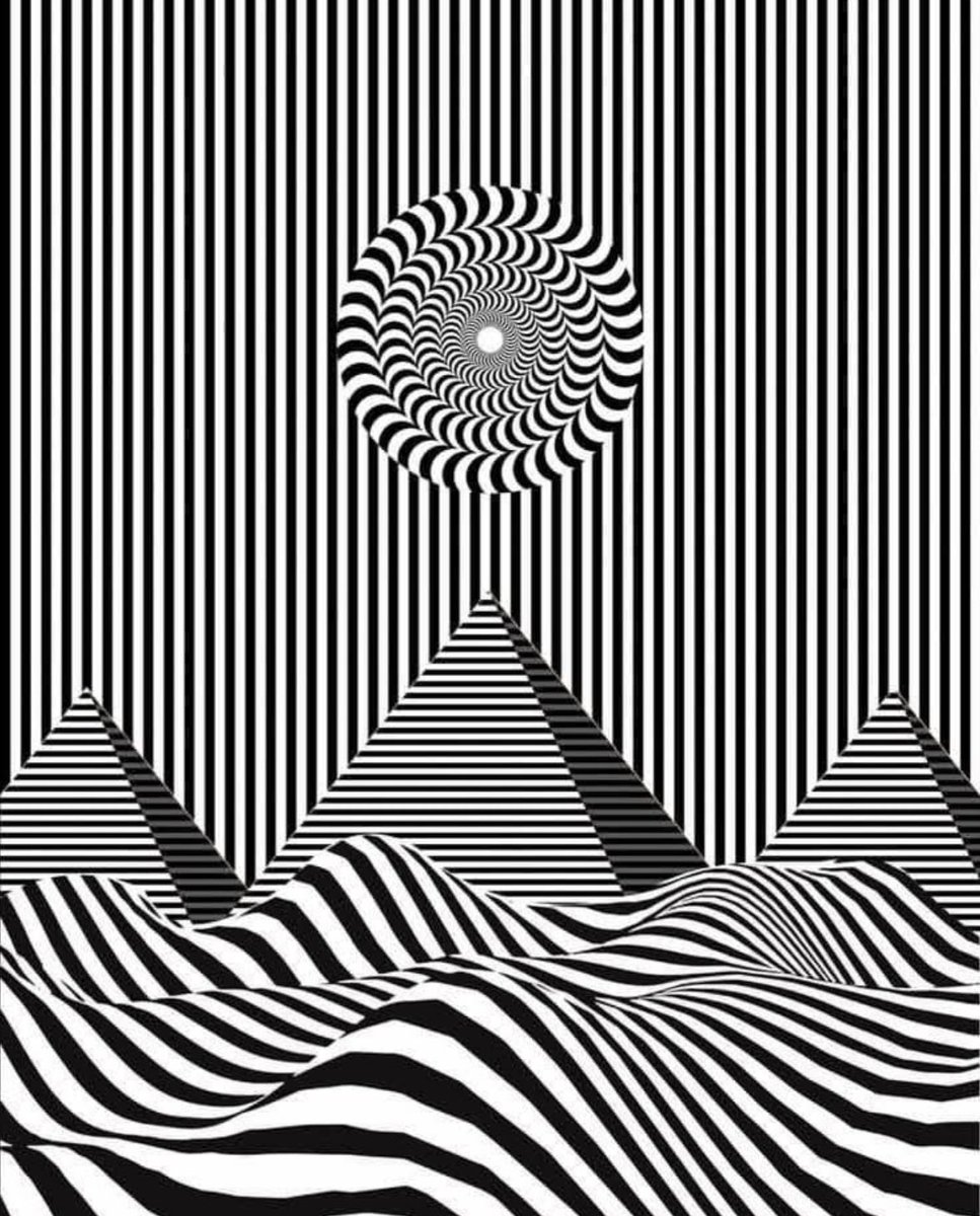 Freedom2Fart's tweet image. Repost this and you’ll be shocked