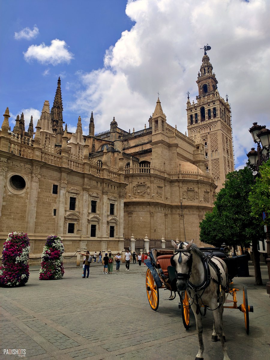 padishots's tweet photo. 📍🇪🇸 Giralda y Plaza de España, Sevilla, Andalucía

Imágenes tomadas durante un tranquilo día paseando por Sevilla, donde se pueden observar los famosos carruajes que recorren la ciudad, que junto a sus bellos lugares proporcionan un entorno único y atrapante ❤️ https://t.co/uUTrpp70uE