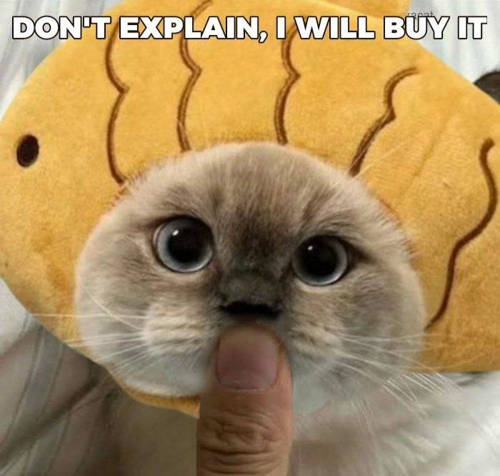 FishCatSui's tweet photo. @torogems $FAT is 2 animals not 'just' 1 https://t.co/pF0WbRQMaq