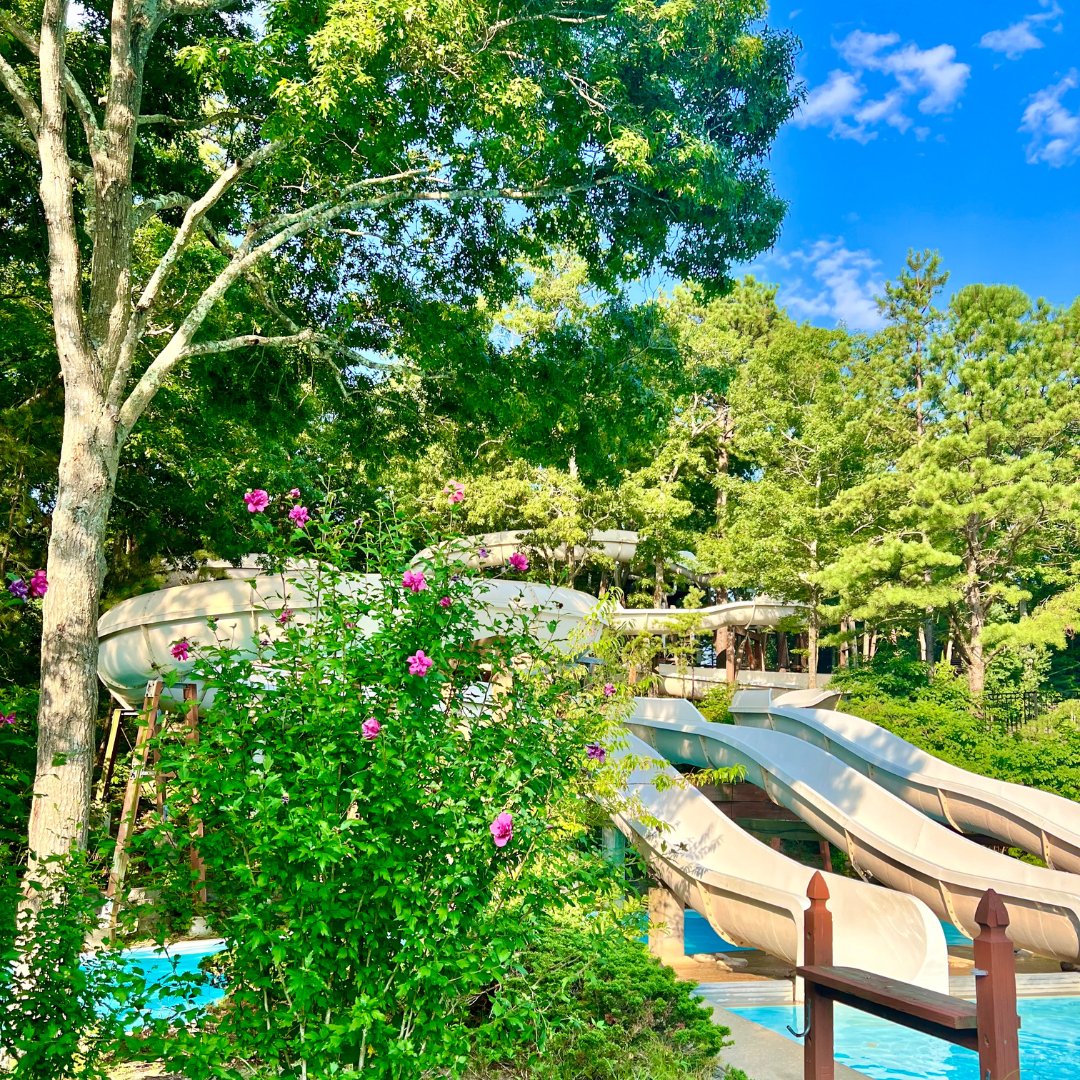 Splish Splash tweet media