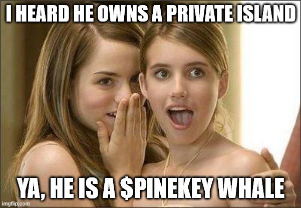 PineKeyTampaBay's tweet image. $pinekey #pinekey #Solana #memecoin #RWA CA: GHAgf97Y4xsfRX61WoEx3b9mg6iDMQD6AsgnzEKopump