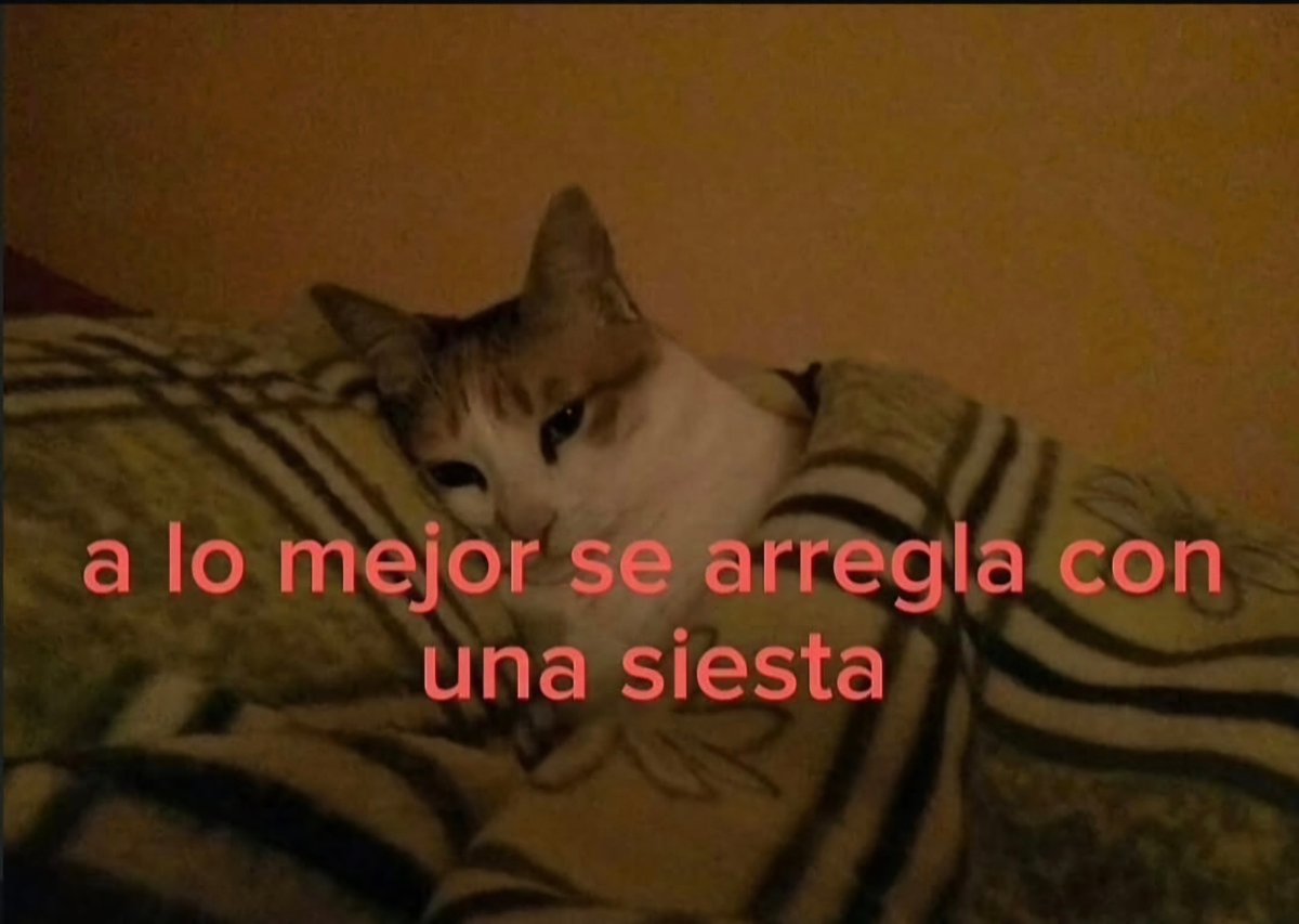 En Júpiter (@en_jupiter_) on Twitter photo 