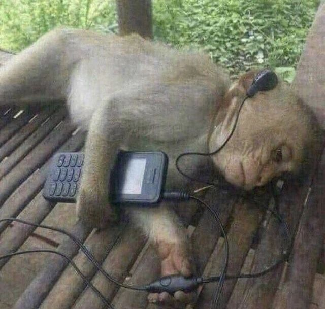 MrSavage tweet media