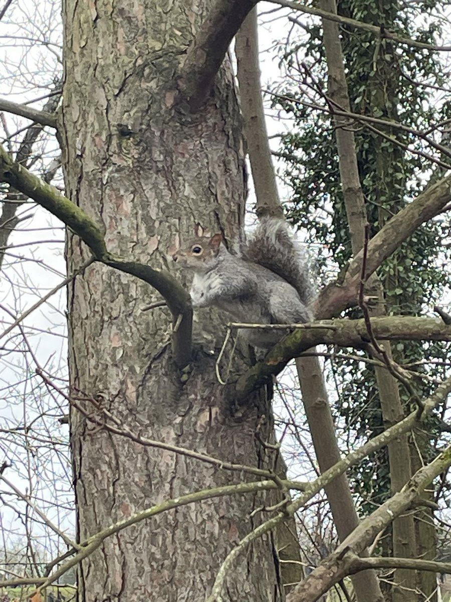 onlyfans.com/shruboneout/#n… #onlyfans #wildlifephotography