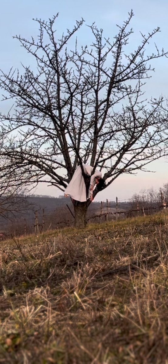 NEM VAGYUNK UGYAN OLYANOK!
Te össze kursz mindenkivel mert osszetortek a szivedet, en a nagymamam esküvői ruhájában vonaglok a sárban és készítek performanszokat. /mentot akartak ram hívni nem hittek el hogy ez a házifeladatom azt hittek be vagyok drogozva/