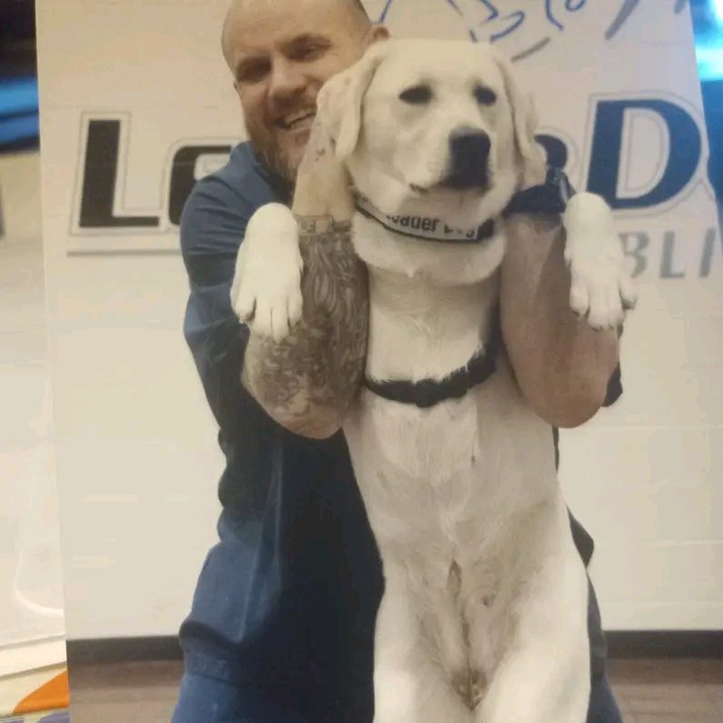 A doggy-full-nelson...  Excellent wrestling move.