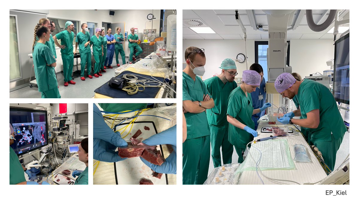 Vera Maslova (@veramasloo) on Twitter photo Letzte Woche hatten wir in <a href="/UKSH_KI_HL/">Universitätsklinikum Schleswig-Holstein</a> Workshop zur Katheterablation für unsere Studierenden. Absoluter Highlight: Hands-on-Training! #YoungestDGK <a href="/YoungDgk/">Young DGK</a> <a href="/evgeny_lyan/">Evgeny Lian</a> <a href="/_derk_frank/">Derk Frank</a> <a href="/CKuehl2015/">Constantin Kühl</a> <a href="/MohAbuNourSaad/">mohammed saad</a> <a href="/Kardiophil/">Philipp Breitbart</a> <a href="/Hannah_Billig_/">Hannah Billig</a> <a href="/HenrikeHillmann/">Henrike Hillmann</a> <a href="/sebFeickert/">Sebastian Feickert</a> Letzte Woche hatten wir in <a href="/UKSH_KI_HL/">Universitätsklinikum Schleswig-Holstein</a> Workshop zur Katheterablation für unsere Studierenden. Absoluter Highlight: Hands-on-Training! #YoungestDGK <a href="/YoungDgk/">Young DGK</a> <a href="/evgeny_lyan/">Evgeny Lian</a> <a href="/_derk_frank/">Derk Frank</a> <a href="/CKuehl2015/">Constantin Kühl</a> <a href="/MohAbuNourSaad/">mohammed saad</a> <a href="/Kardiophil/">Philipp Breitbart</a> <a href="/Hannah_Billig_/">Hannah Billig</a> <a href="/HenrikeHillmann/">Henrike Hillmann</a> <a href="/sebFeickert/">Sebastian Feickert</a>