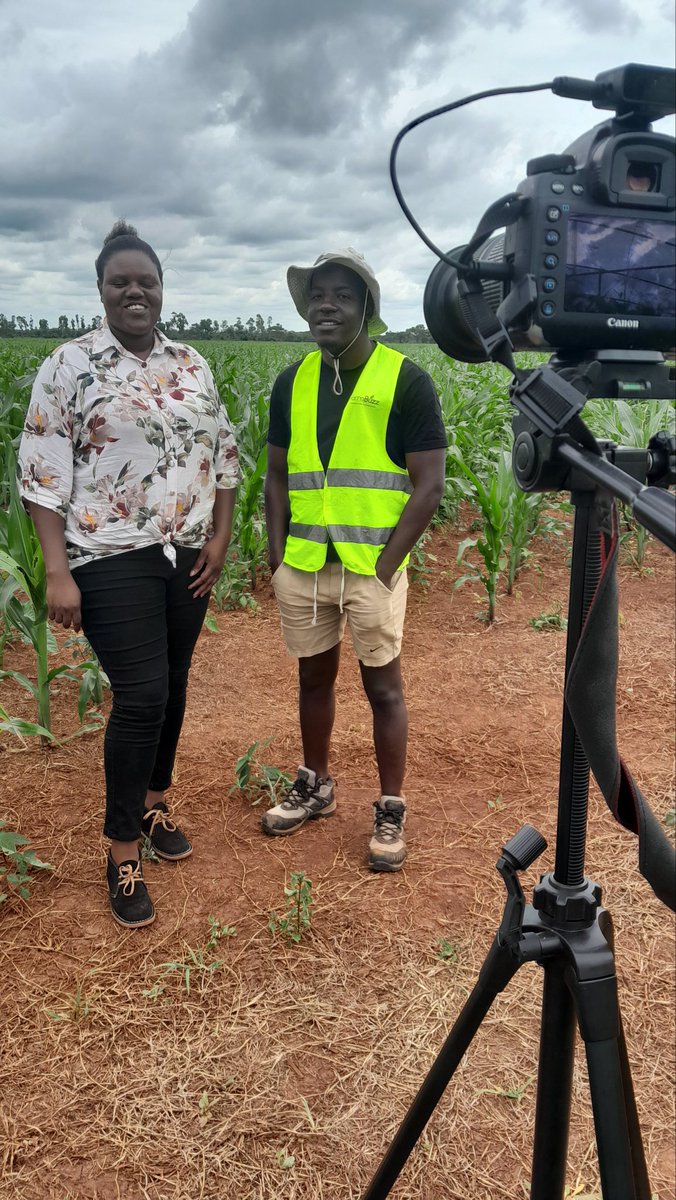 The Farmer's Diary tweet media