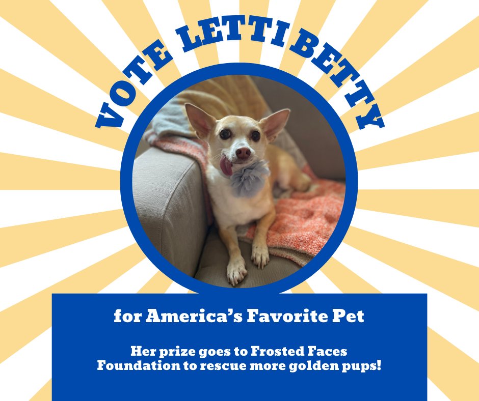 AngelWithPaws's tweet photo. Hi, I’m Letti Betty Confetti Full of Spaghetti 🍝🐶, a 15-year-old rescued by Frosted Faces Foundation! 

If I win America’s Favorite Pet, I’ll donate my prize to save more senior dogs! Vote FREE every 24 hours! 
 
https://t.co/T9qnlB5UjL https://t.co/l3YV3aPOQC