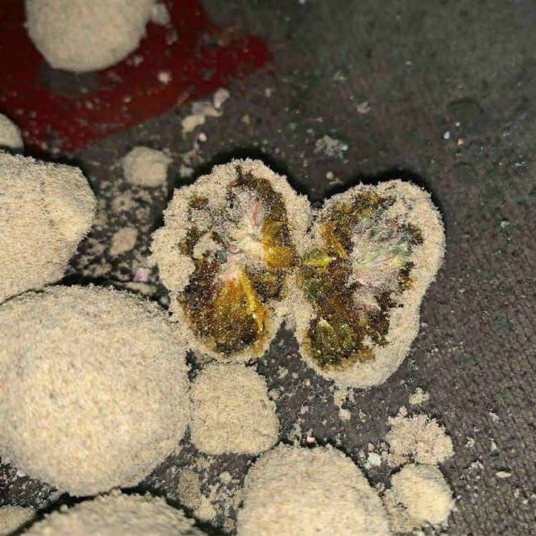 Do you like moon rocks?