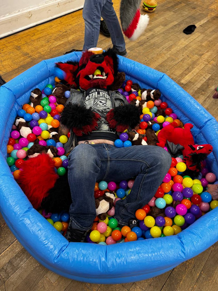 ExeterFurs's tweet image. Yesterday's furmeet went great, lots of new faces and still quite a busy meet considering scotia was on. Can't wait for next month's party!