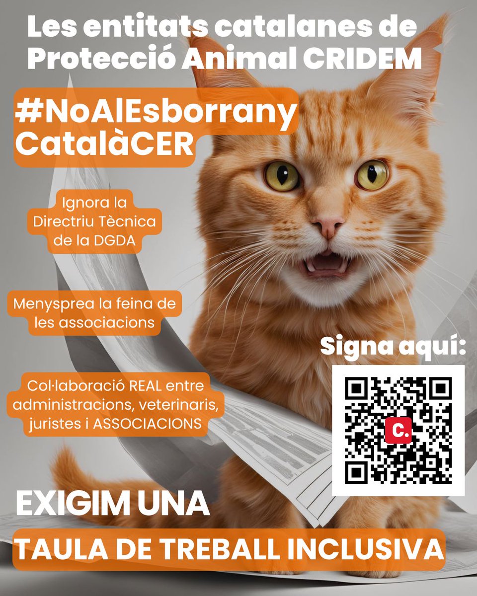 Esterlumbreraslopez tweet media