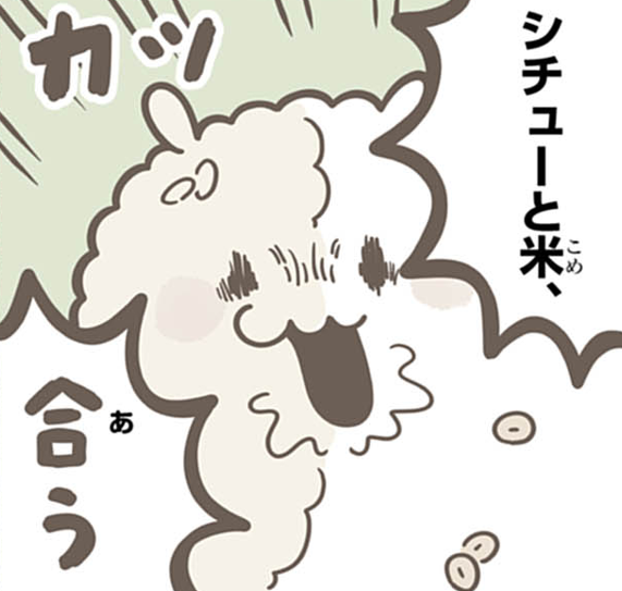 \ ✨新連載第2話✨/
「日本育ちのおこめ」最新話配信!!
https://t.co/rPTdJcMUvC

今回は「シチュー」を食す!?!? 

#日本育ちのおこめ 