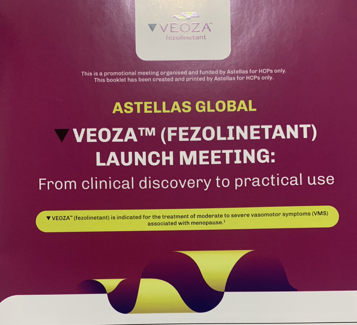 cpingarrons's tweet photo. Ayer tuvimos reunión Global de Astellas, con ginecólogos de 13 países diferentes reunidos en Madrid , donde centramos el foco en la nueva alternativa no hormonal para el tratamiento de los Síntomas Vasomotores de la menopausia. https://t.co/wVYbXEXmtP