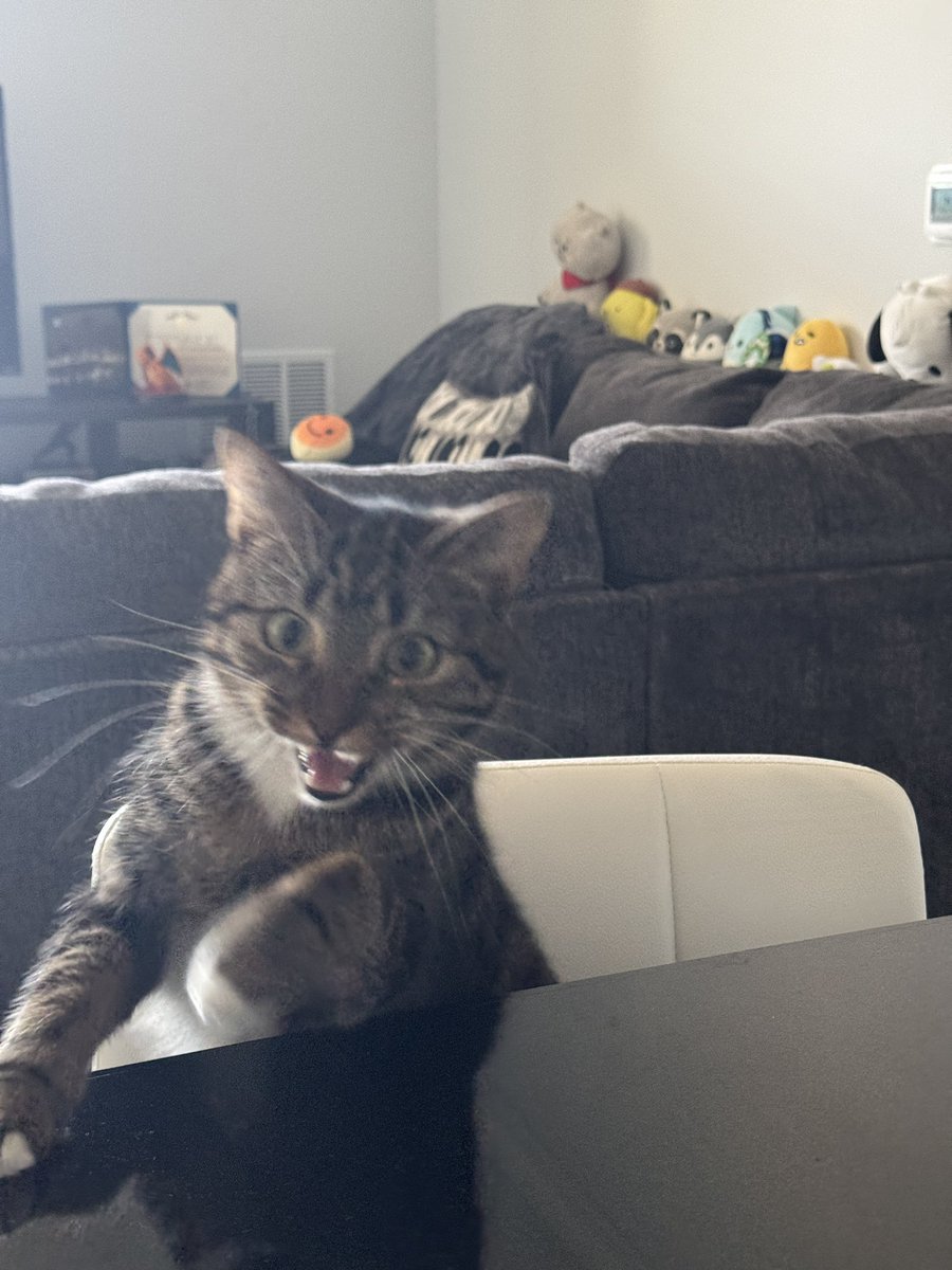 _houdeanie's tweet photo. @BestPokemonDeal i couldn’t find her until I opened her snack bag 😭 https://t.co/bNMJjhE9vz