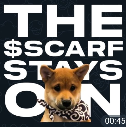 MemeTrader tweet media