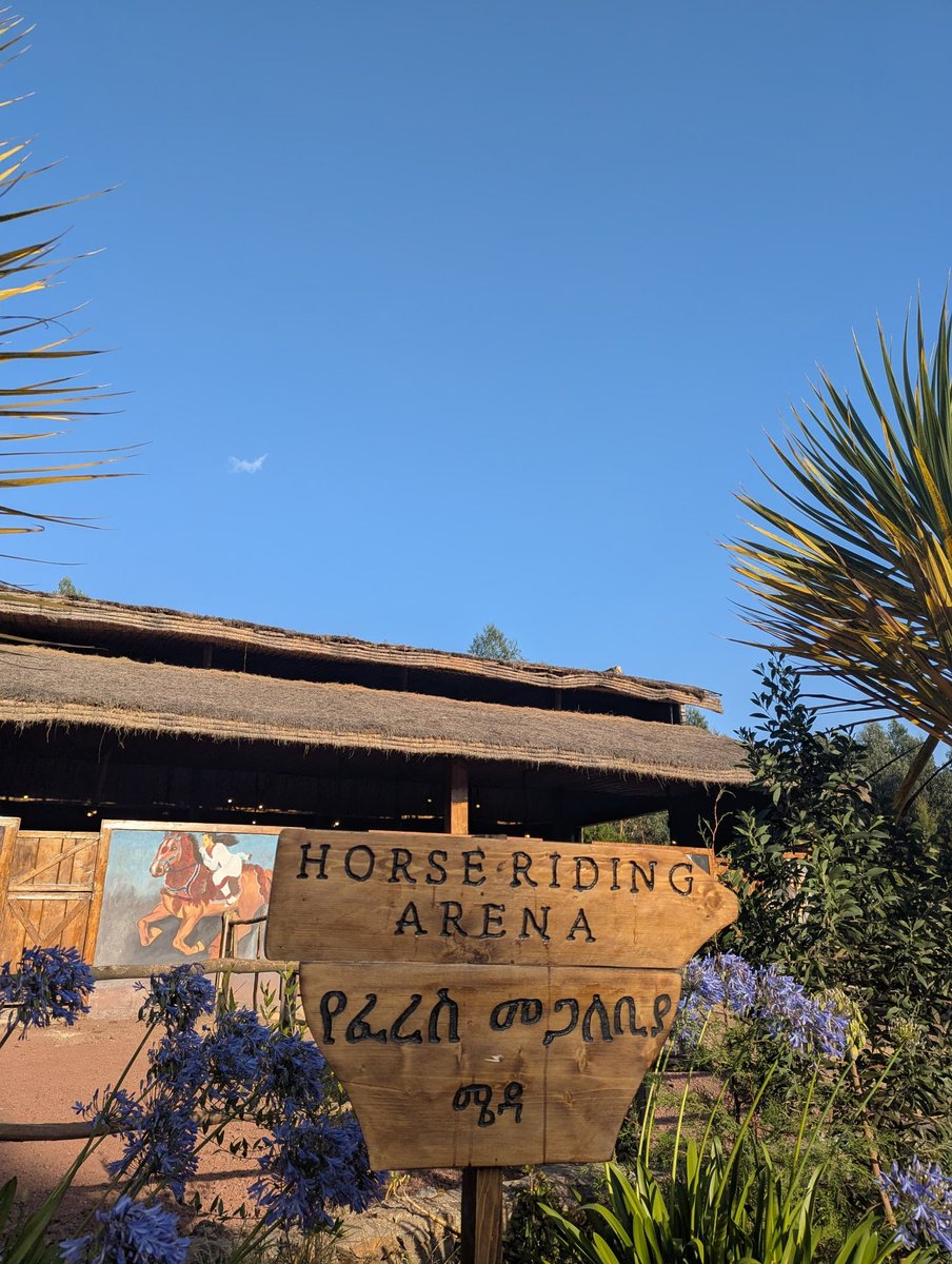 lady_in_stem(iamdevsaisa.base.eth) tweet media