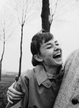 . . صفراءْ الجبين ، tweet media