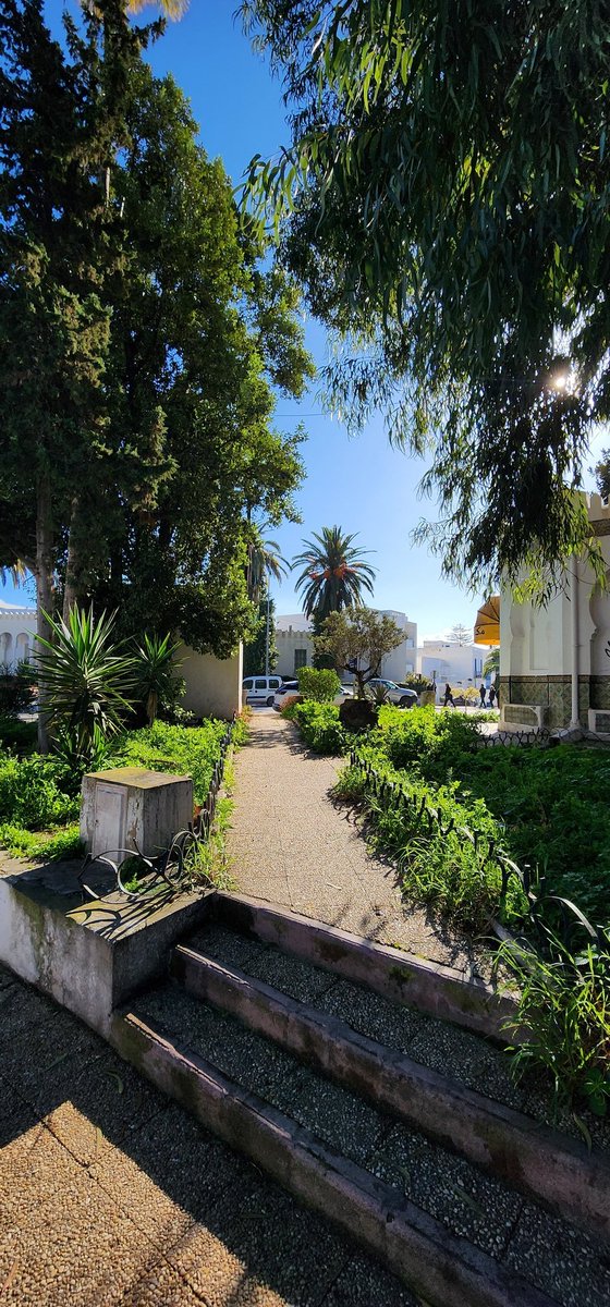 Turkia Leith tweet media