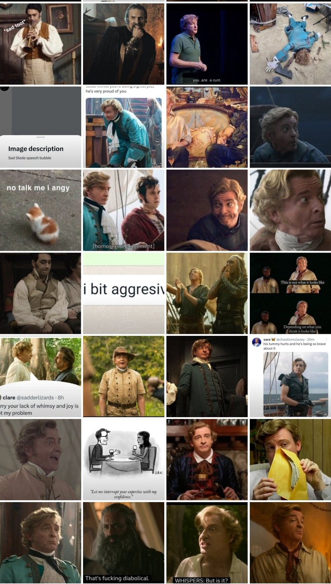 BB 🏳️‍🌈🏴‍☠️ tweet media