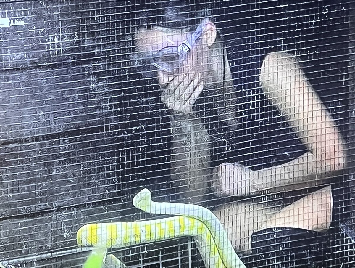 Melanie Peeters tweet media