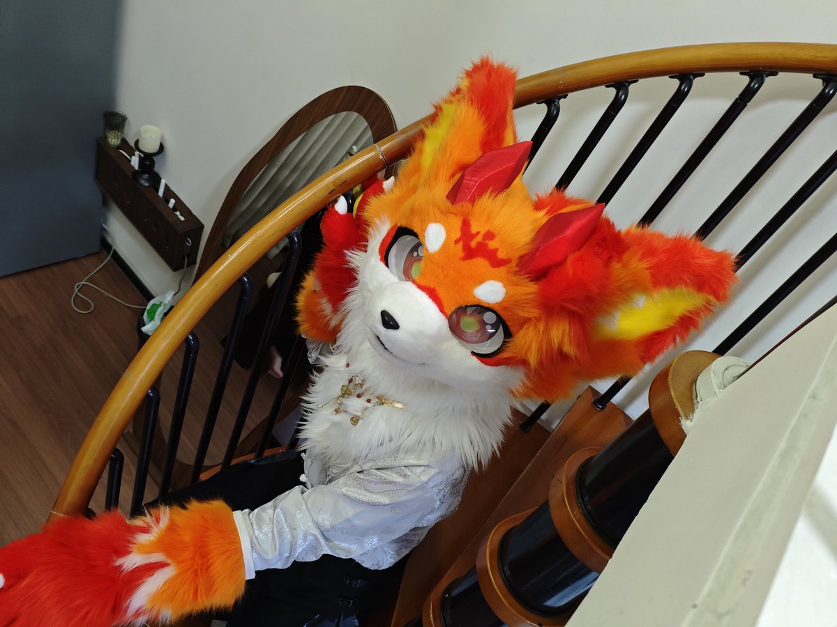 Not4orange's tweet image. ✨嗨，这里是司晨！✨
是一只外在还是内核（他们说的)都🔥的狐狸🦊。
没什么特别的爱好，喜欢吃喝😋睡觉💤打游戏🎮偶尔会跳舞🕺🏻写小故事✒️研究穿搭👔
雷点不多，但面对讨厌的人敌意表现的很明显，欢迎扩列🎉
申明：
请勿转载除我设定清水照以外的图片，替设主上传，随意转发并不礼貌，恳请理解！