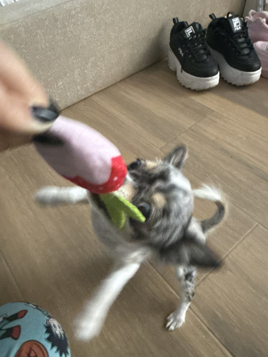Caprimint's tweet photo. Oli quiere mucho a su tía ☺️ (se acaba de cagar en la ducha) https://t.co/75bAuSr5Bh