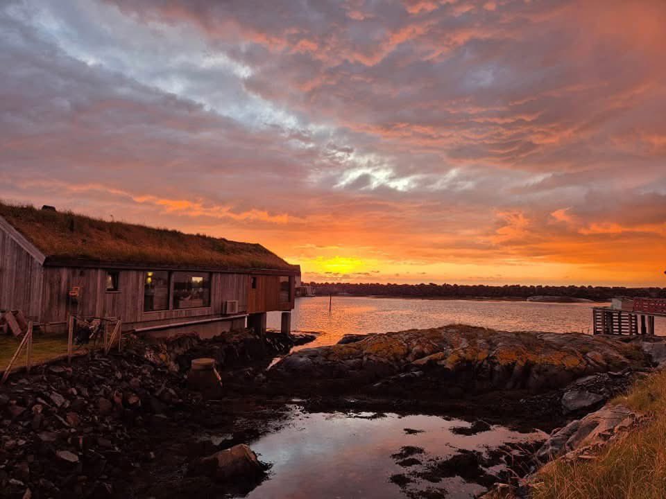 GRIP &amp; VEIHOLMEN 2025🇳🇴
Fiskeværene Grip og Veiholmen er hver for seg en unik opplevelse og en reise i norsk Kystkultur.

I 2025 legger vi opp en heldags opplevelse hvor det blir mulig å lære begge disse vakre destinasjonene bedre å kjenne.
Kontakt meg hvis du vil vite mere