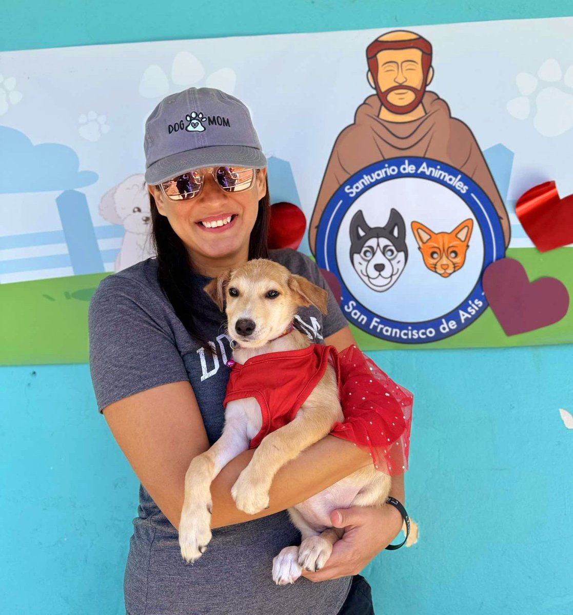¿Verdad que Laika se ve hermosa? 

Y es que la beba se puso su traje más bonito para mudarse con su nueva mami, Jennifer. 

Laika vivirá en Aguadilla, donde se encargará de llenar los días de su mami de un montón de pelitos y de mucha alegría.

* Ath móvil - Donar, path SASFA