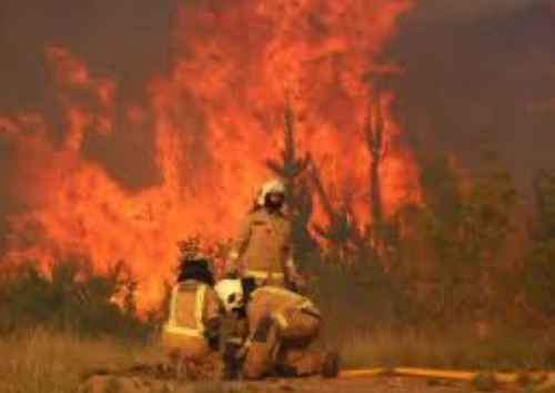 Ivan Herrera A. tweet media