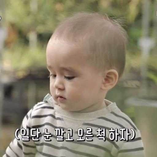 BentleyMP4's tweet photo. #나의랜선아기를소개합니다

방송데뷔 9년차, 세상데뷔 9년차, 계정주 덕질 9년차의 주인공 벤틀리 해밍턴을 소개합니다✨

신이 주신 예능감으로 민머리 시절부터 다수의 짤 소유자🐣
(대표작 : 내가?, 물아일체 등등)

어느덧 10살이 된 윌리엄, 9살이 된 벤틀리는 여전히 우애깊은 형제랍니다💗 https://t.co/mSlGqUA2uF