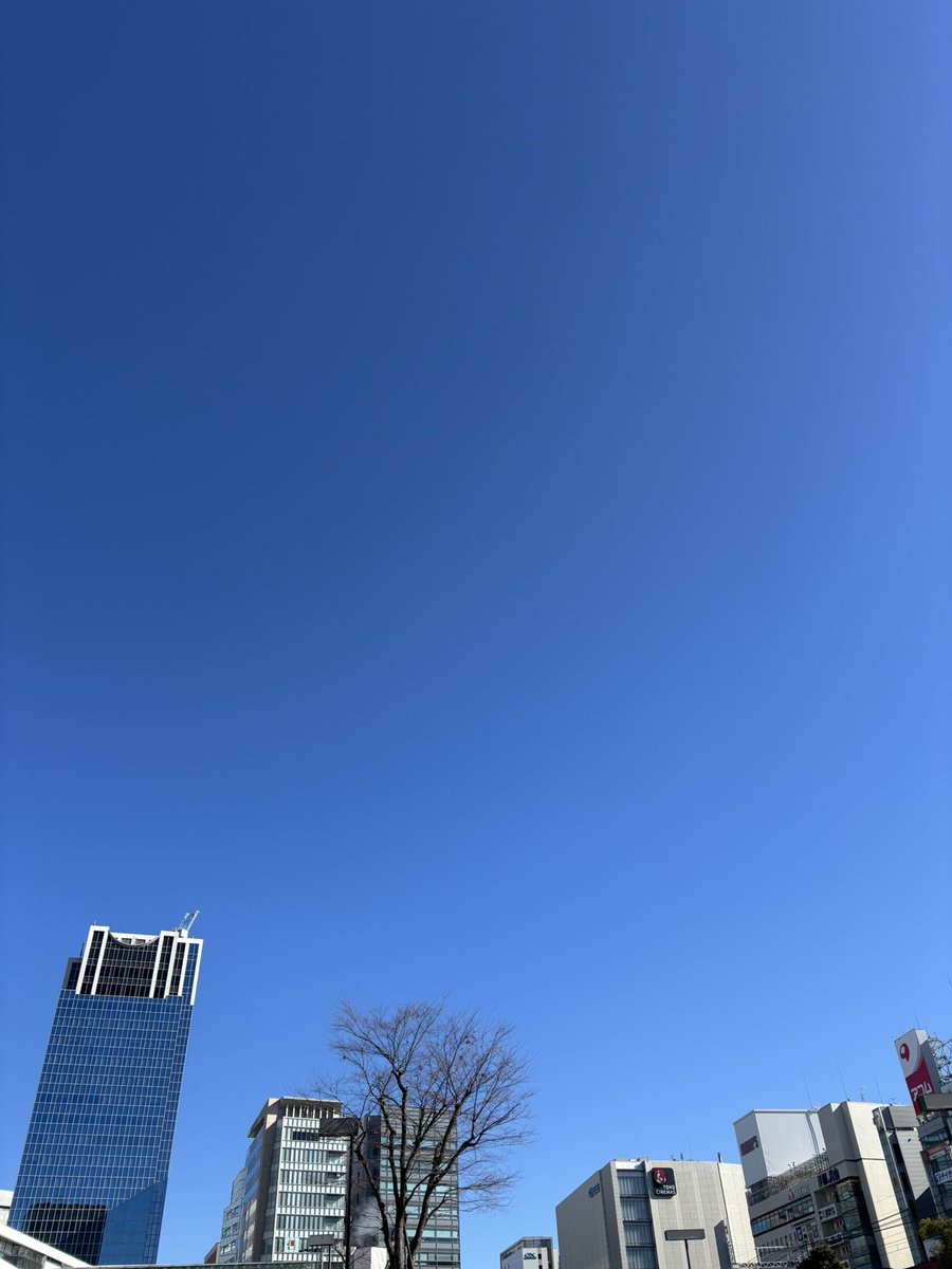 おはようございます😃

今日の川崎市の天気は、晴れ☀️

明日は祝日でお休みです🎌

今週も頑張っていきましょう🙌

#企業公式が毎朝地元の天気を言い合う
#企業公式相互フォロー
#企業公式冬のフォロー祭り
#企業公式さんと繋がりたい 
#企業公式つぶやき部 
#就労移行 #就労継続支援B型 #川崎