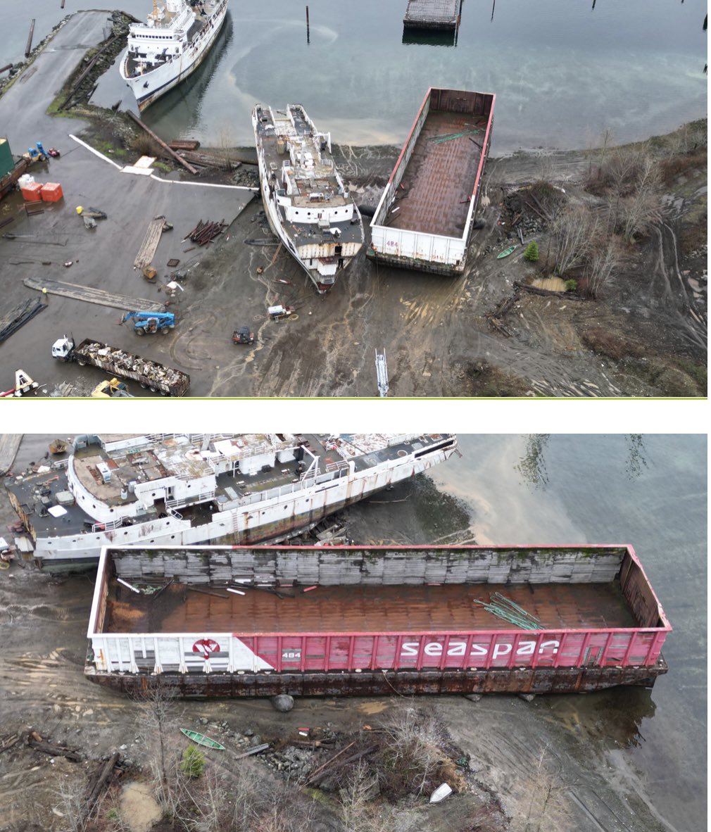 malloyd60's tweet photo. @ClaireMartinWx I would like to stand for Canada. But because of #unregulated #unpermitted #shipbreaking, an #American company has set up #shipbreaking and is discharging #acutelytoxic Effluent 1600% over into #BaynesSound where 68% #BC #shellfish are produced and one-third of the #herring. https://t.co/KE0Gs2YA5g