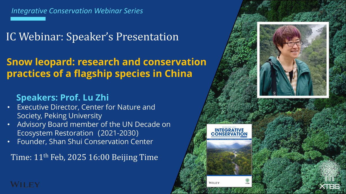 IntCon's tweet image. 🐾 Join IC Webinar TOMORROW
Prof. Lu Zhi (Peking University) on "Snow Leopard: Research & #Conservation Practices of a Flagship Species in #China"!
📅 11th Feb 2025, 4:00-5:30 PM (China Time)
🌍 Time zones: 8:00AM (GMT);3:00AM (NYT) 🐆
#SnowLeopard #Webinar #PekingUniversity