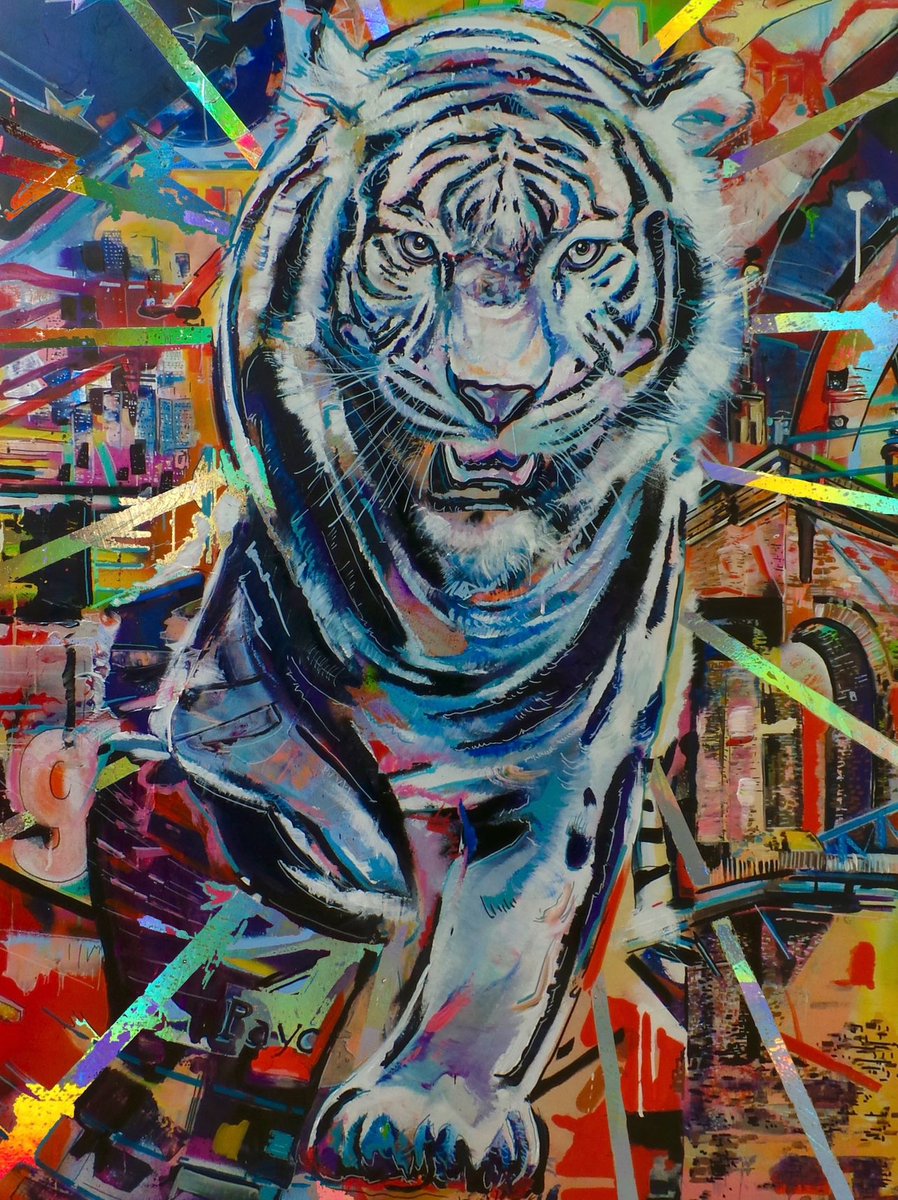 shawn voelker tweet media