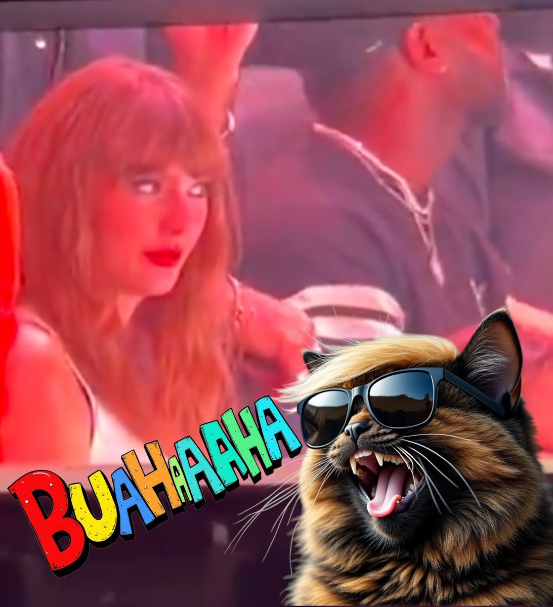 TrumpCatLeader's tweet photo. #TaylorSwift loudly booed at #SuperBowl Karma is a Super Bowl crowd buahahaha ๐พ๐ #TrumpCatLeader https://t.co/lf6k4KNWm5