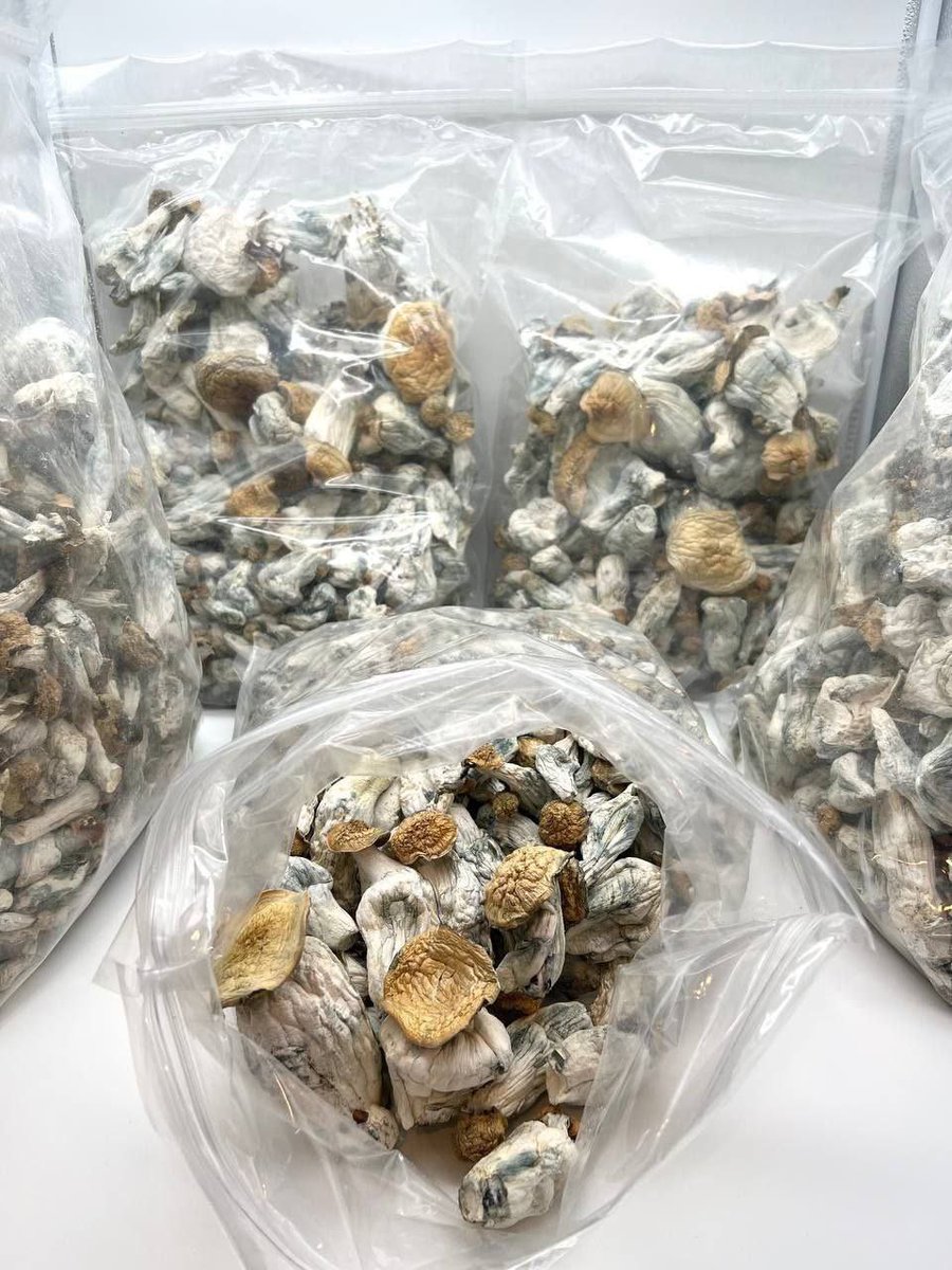 Jerry 🔥💊💯 (@achajerry39083) on Twitter photo 