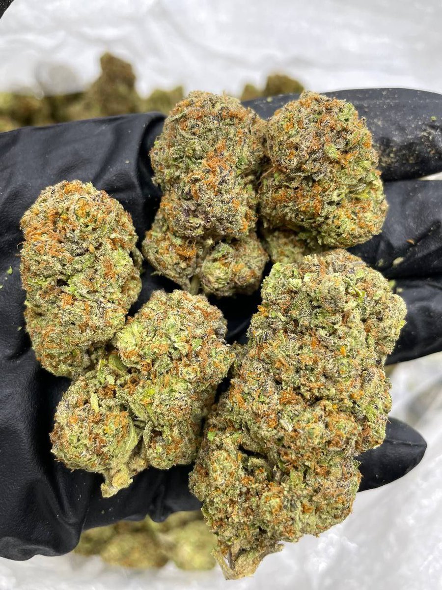 Jerry 🔥💊💯 (@achajerry39083) on Twitter photo 