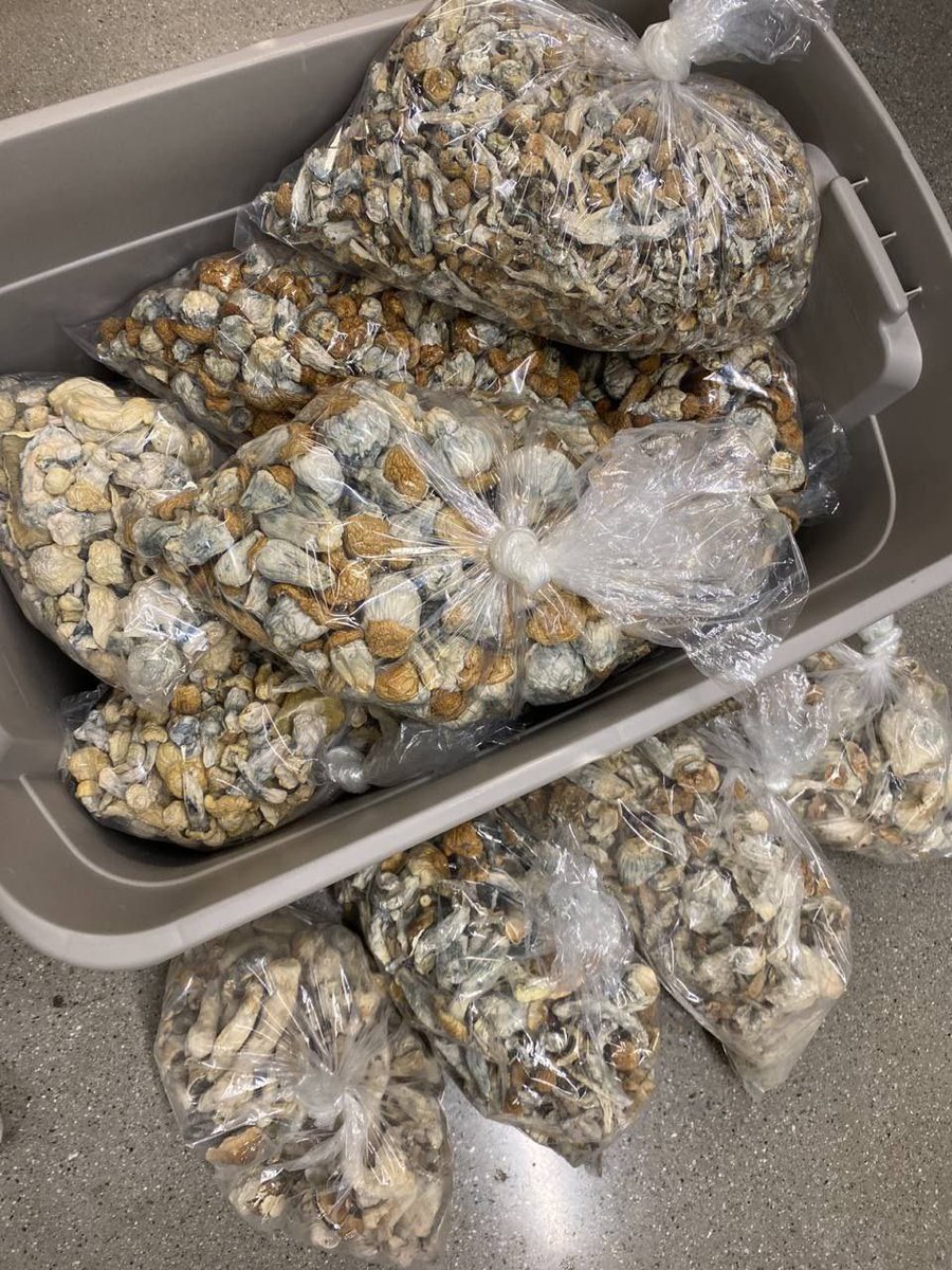 Jerry 🔥💊💯 (@achajerry39083) on Twitter photo 