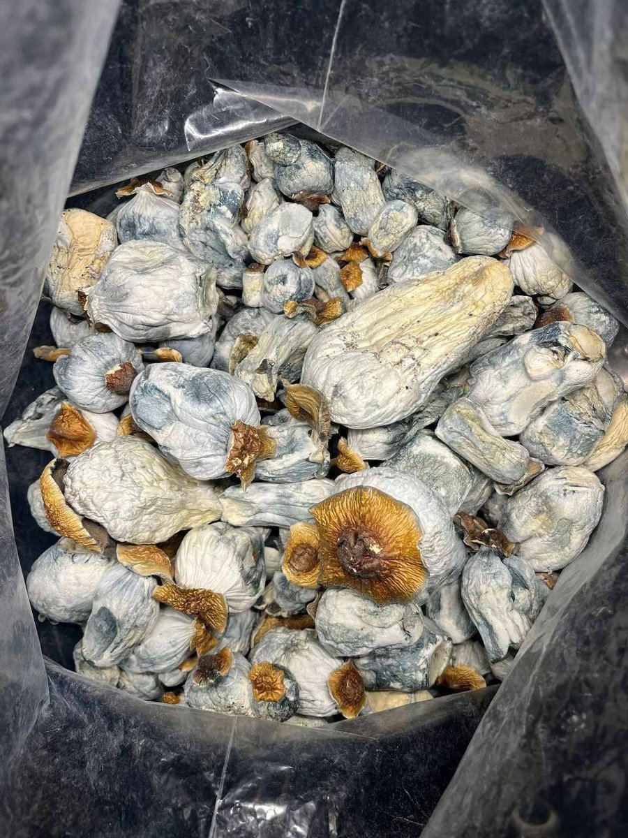 Jerry 🔥💊💯 (@achajerry39083) on Twitter photo 