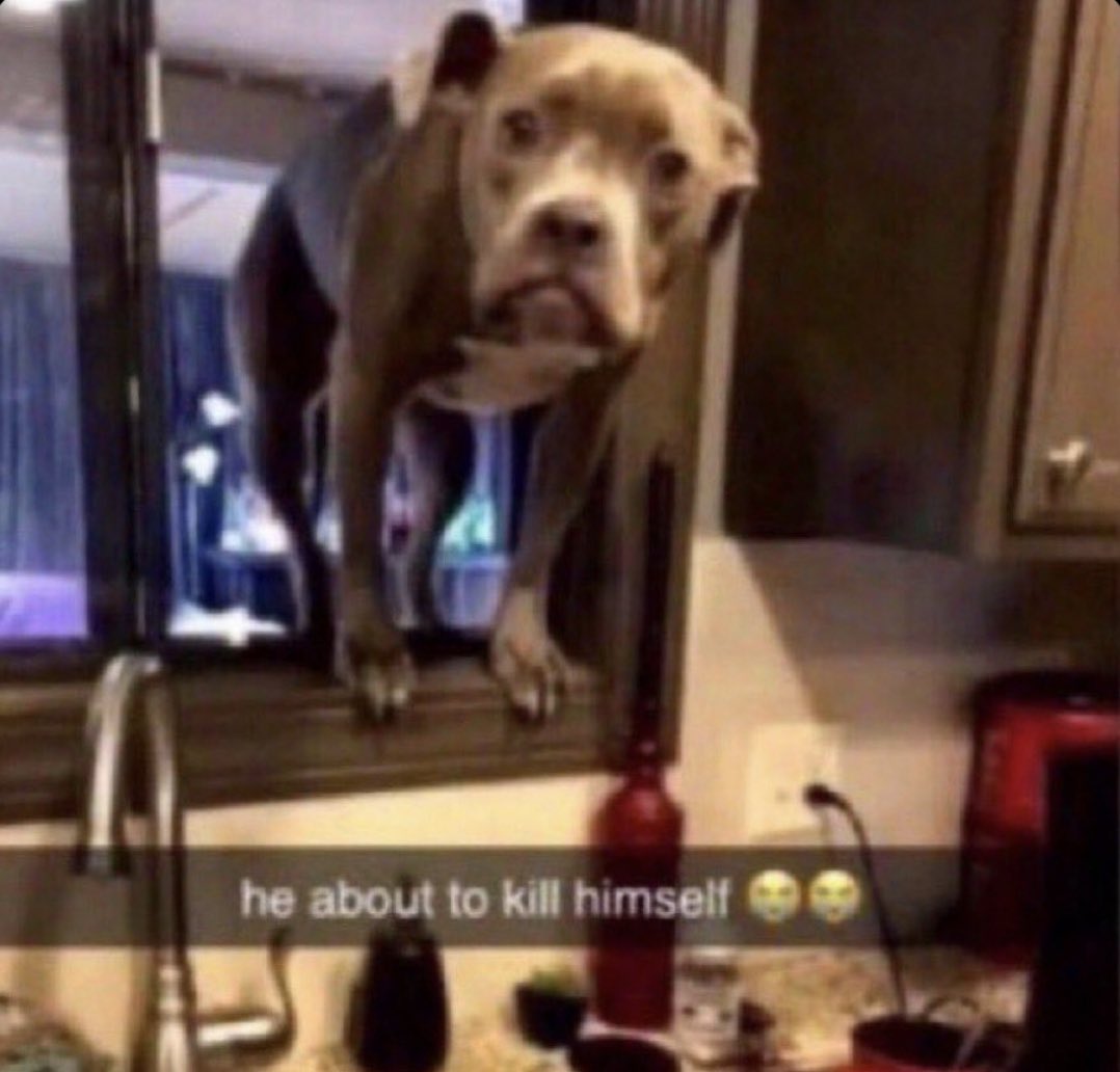 Tobey // Overstood (@wankenobitobey) on Twitter photo 