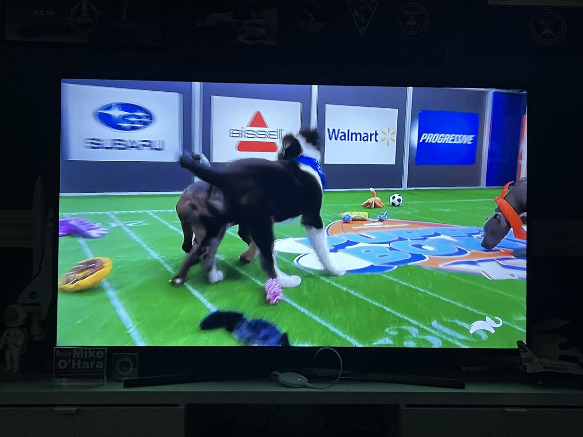 spacemike's tweet photo. Thankfully, the Puppy Bowl XXI wasn’t dumb enough to put a new action distracting #scorebug  on the screen. The @NFLonFOX  scorebug in the #SuperBowl is an epic fail! https://t.co/BV3wauVKlX