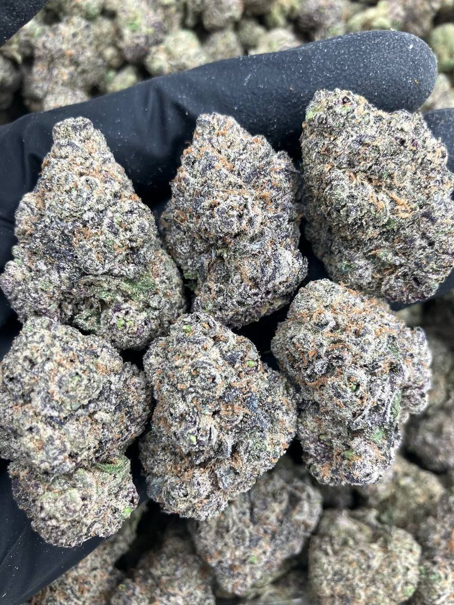 Jerry 🔥💊💯 (@achajerry39083) on Twitter photo 