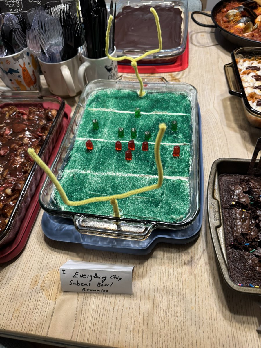 I won Casserbowl 2025 (savory) with a “Ribeye Stroganoff Lasagna!” Everything scratch made. And my younger kiddo’s “Everything Chip Subear Bowl Brownies” took second in the sweet category. Enjoy the game!