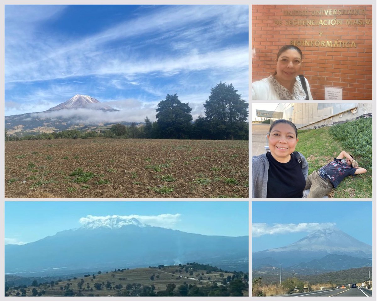 A Global South scientist wants to scratch a bit of State of the Art. She waits months for reagents, gets samples in LN, drives 3k km for 3d touring the 2 institutions with NGS facilities in the whole country. The bright side is that Mexico is beautiful! Happy to be your driver 🍀