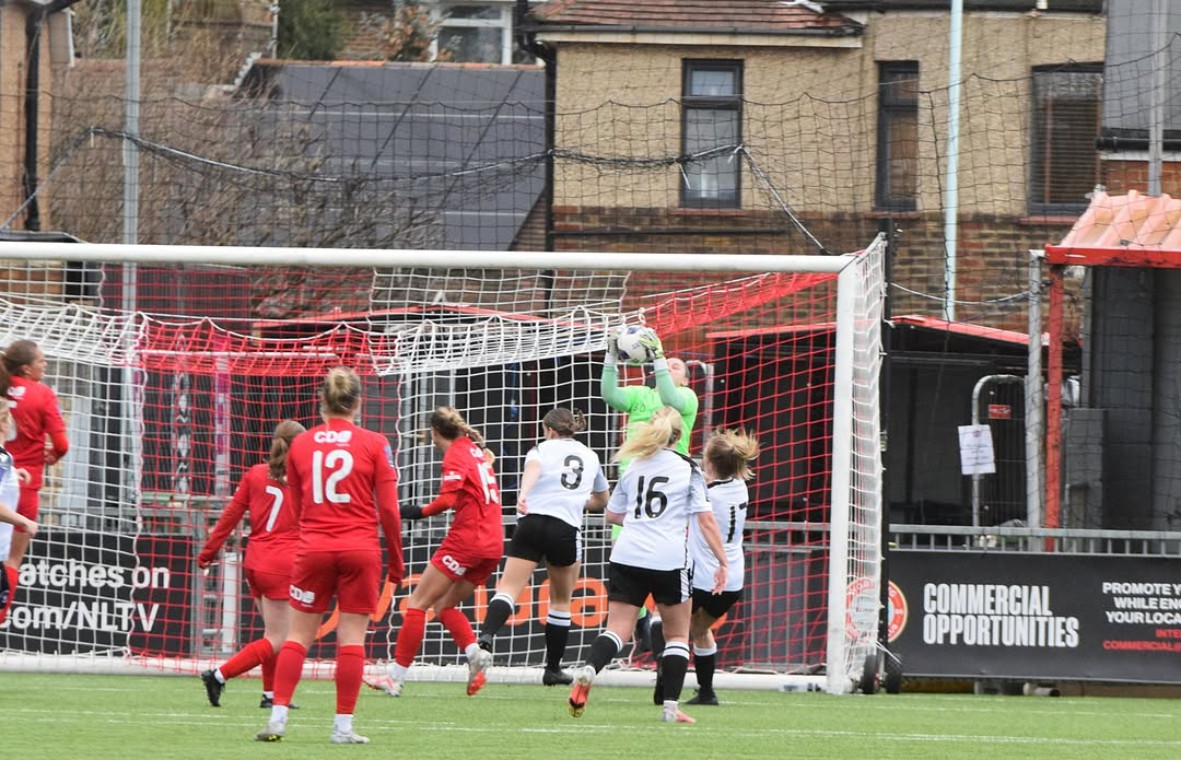 Ray Chaplin tweet media