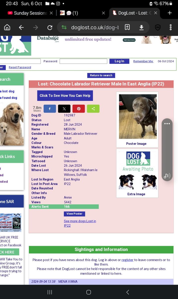 tlander93's tweet image. #stillmissing #Mervin #Suffolk @MissingPetsGB @DogLost_UK @HunnyJax @EADT24 @BBCSuffolk